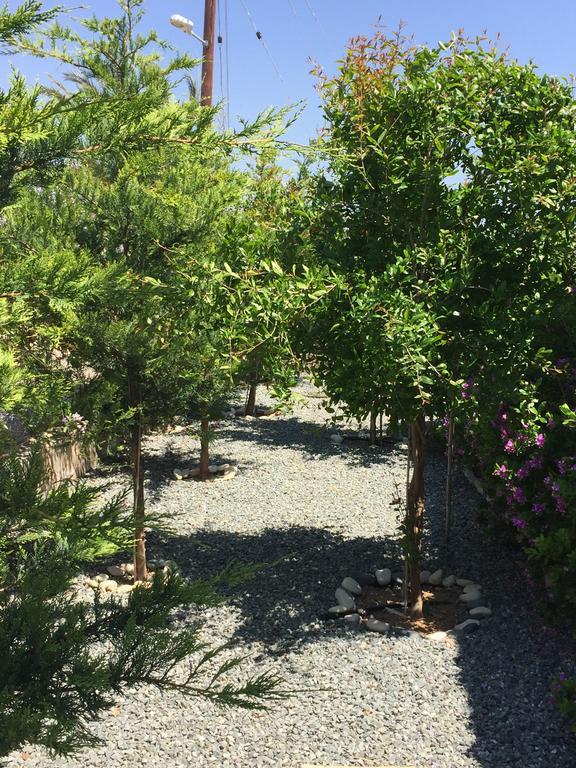 Casa Vacanze Baciata Agios Theodoros Bagian luar foto